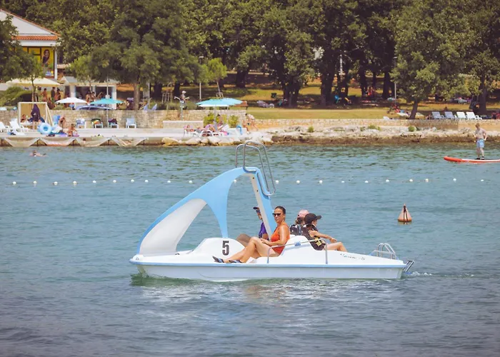 Park - Roan Kamp alanı