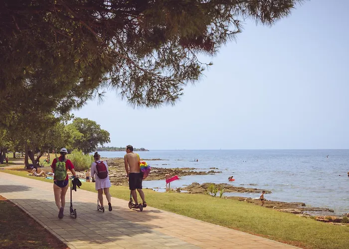 Park - Roan Kamp alanı