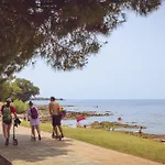 Park - Roan 营地